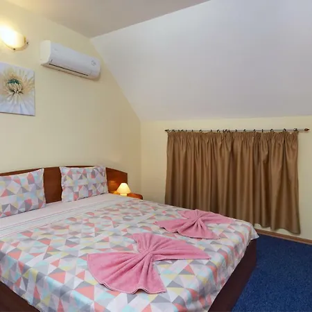 ゲストハウス Plechkarovi 3*