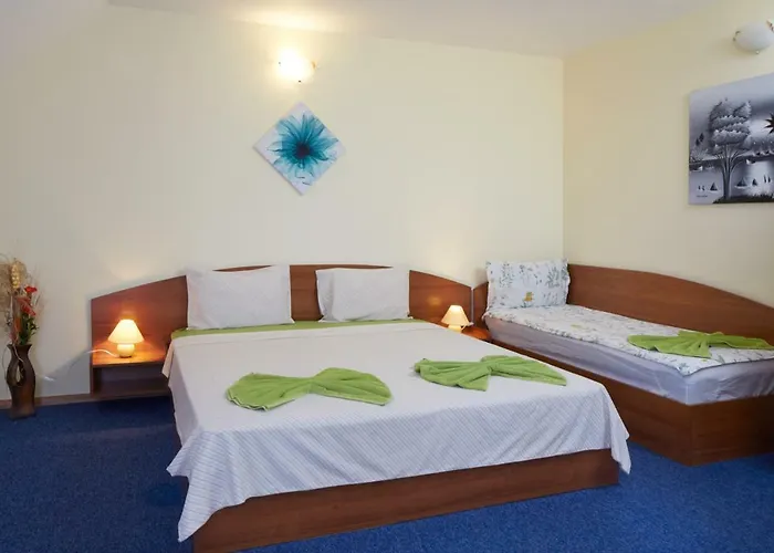 Plechkarovi ゲストハウス 3*