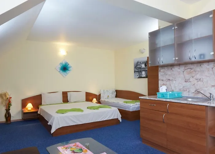 ゲストハウス Plechkarovi