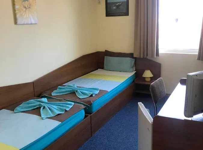 Plechkarovi ゲストハウス 3*