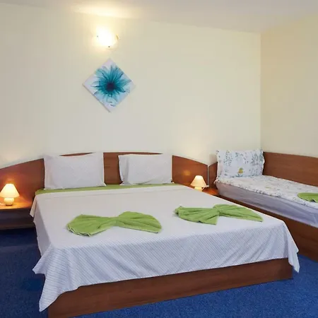 Plechkarovi Guest house 3*