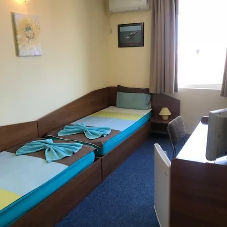 Plechkarovi Guest house 3*